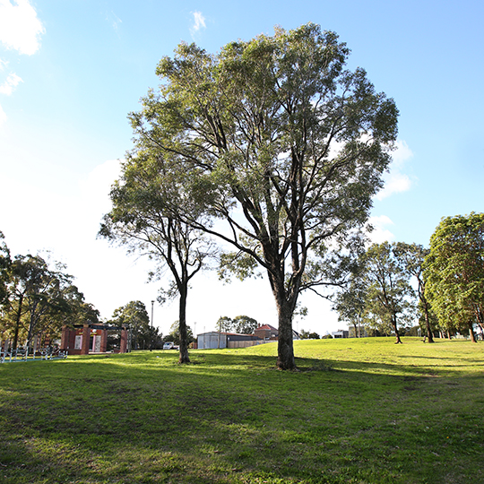  Sydenham Green park view